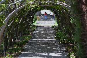 carrick hill 2014 (44)